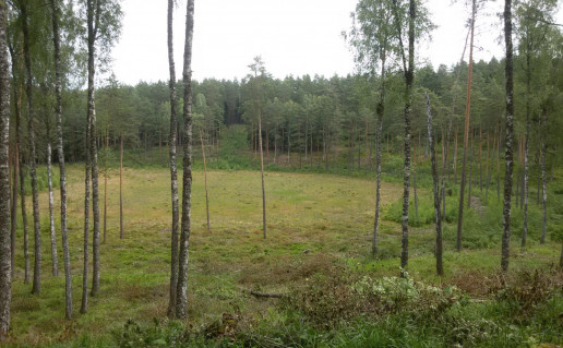 3_Pustlaukio duobė (1).jpg